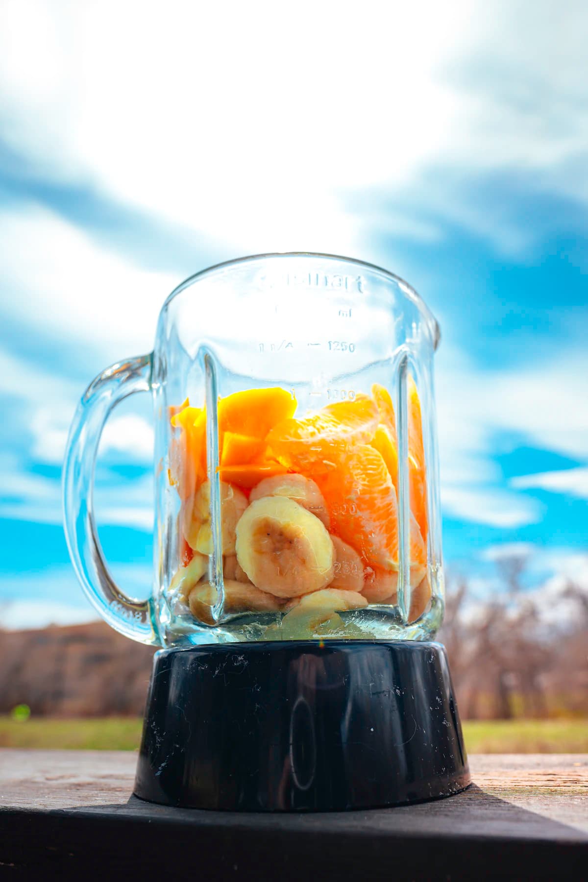 Pro Countertop Blender — 1.5 L